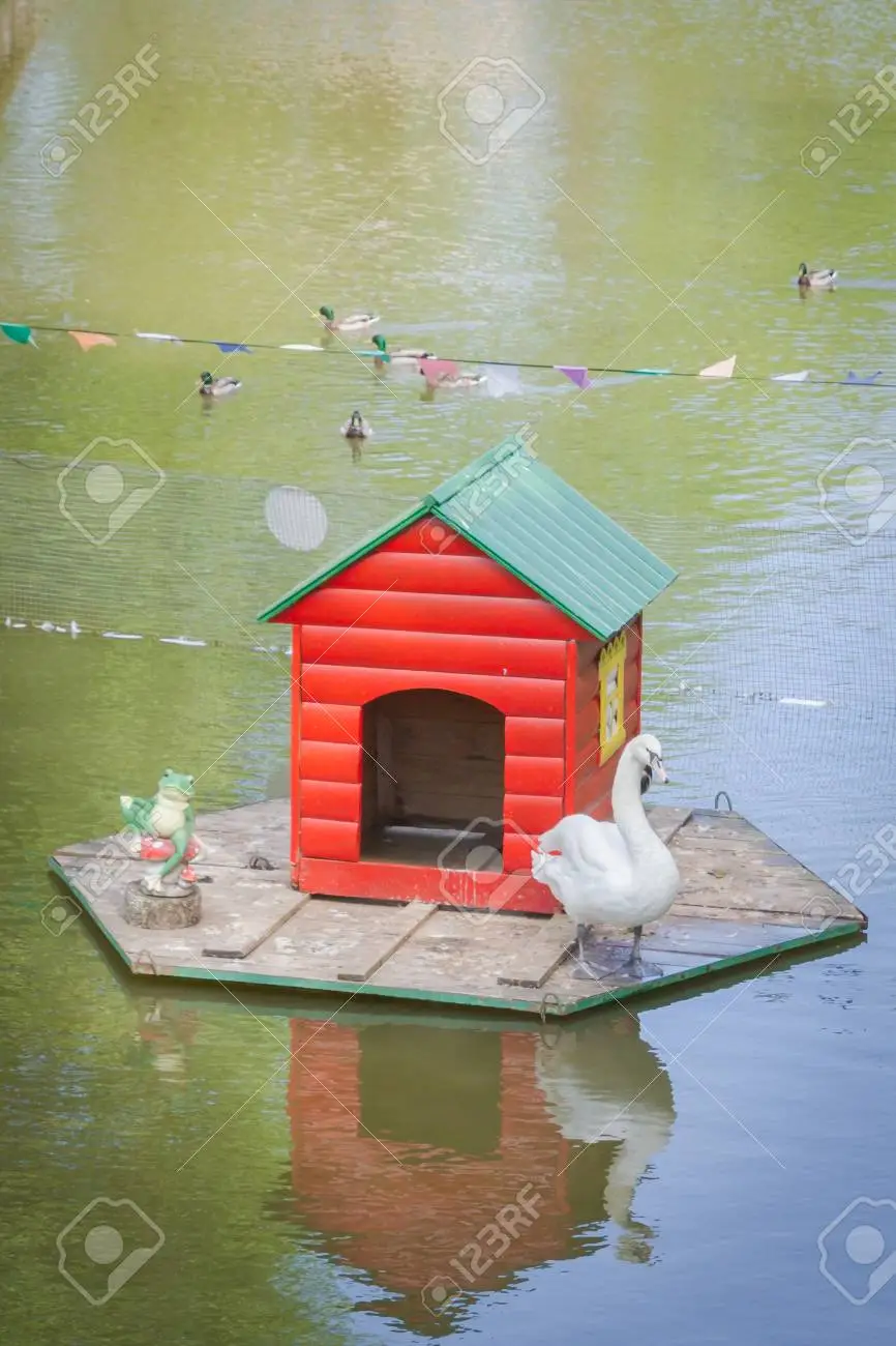 118938756-red-wooden-house-for-a-swan-on-the-water.webp