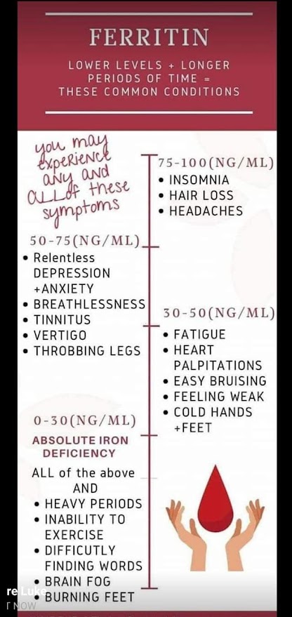 ferritin.jpg