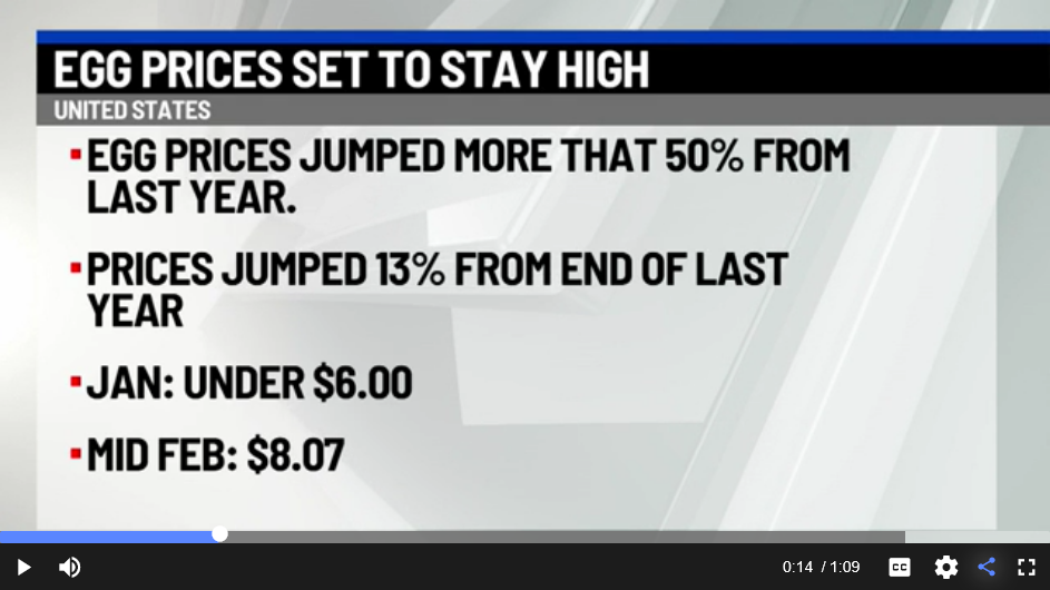 Screenshot 2025-02-23 at 13-07-15 Egg prices set to stay high.png